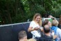 Thumbs/tn_Werfpop 2015 305.jpg